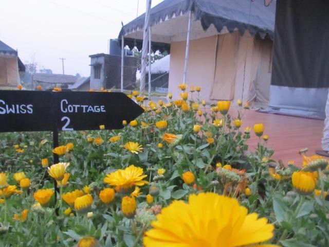Jhājra Derra Camp And Resort المظهر الخارجي الصورة