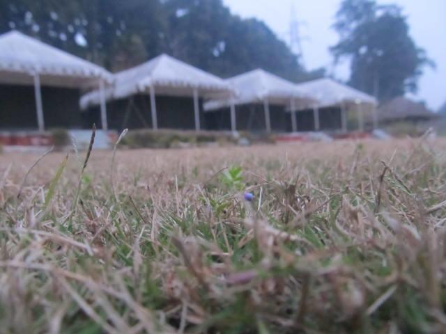 Jhājra Derra Camp And Resort المظهر الخارجي الصورة